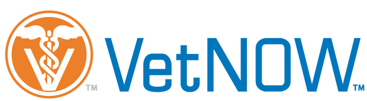 VetNOW